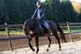 Aerro training thuis 23-11-2014