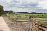 img_5951