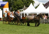 uitzwaaimoment-ch-de-wolden