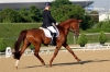 Florencia Mannheim 2012 kur 3