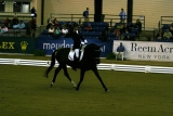 triumph-kentucky-2010-kur-1
