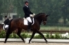 frank-wishful-lunteren-3