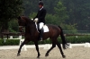 frank-wishful-lunteren-1