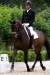 frank-wishful-lunteren-2