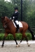joyce-lassie-lunteren-1