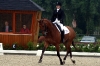 sanne-vedet-lunteren-1