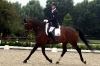 triumph-lunteren-3
