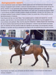 artikel-in-de-strengen-nk-19-06-2010_1