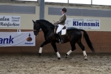 Ravel Hengstenkeuring 2011 Steenwijk 1