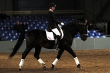 ravel-clinic-paardkoets-1