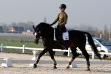 Ravel tijdens training in Moorsele 2010