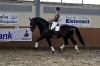Ravel Hengstenkeuring 2011 Steenwijk 1
