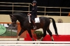 Miek en Raven aan het trainen in Moorsele