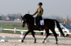 Ravel tijdens training in Moorsele 2010