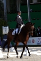 Triumph CHIO Rotterdam finale ParaEquestrian Cup