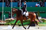Triumph CHIO Rotterdam finale ParaEquestrian Cup