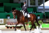 Triumph CHIO Rotterdam finale ParaEquestrian Cup