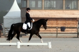 Vorman Deauville 2011 individual test 2