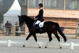 Vorman Deauville 2011 individual test 5