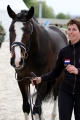 Vorman Deauville 2011 vet check 1