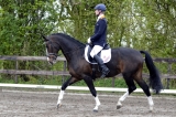 Vorman Montfoort 21-04-2012 1 Stef Kolkman
