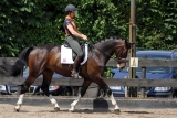 Vorman Montfoort 21-05-2011 3