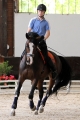 Vorman Mulhouse 2011 training