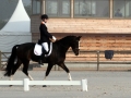 Vorman Deauville 2011 individual test 2