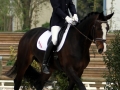 Vorman Deauville 2011 kur 2