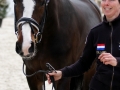Vorman Deauville 2011 vet check 1