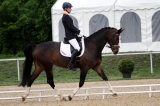 Vorman Mannheim 2012 Team test 1
