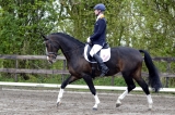 Vorman Montfoort 21-04-2012 1 Stef Kolkman
