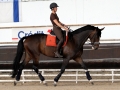 Vorman Mulhouse 2011 Miek training