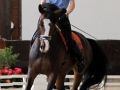 Vorman Mulhouse 2011 training